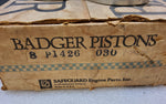 NOS International 196 & 392 Pistons Badger/Safeguard P1426 .030 337147C11