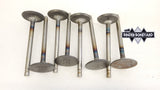 NOS International Harvester 304A V8 Intake Valves Set Of 8 391936C1