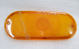 1963-1968 International Pickup Travelall Passenger Turn Signal Lens RH